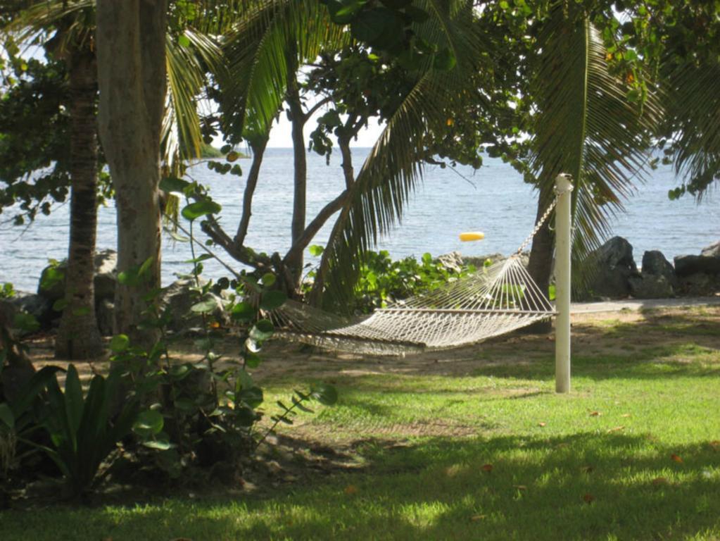 Tamarind Reef Resort Spa & Marina Кристианстед Экстерьер фото